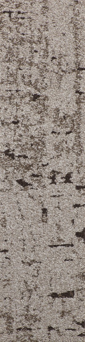 CANOPY TO BARK ZOOM HD planks