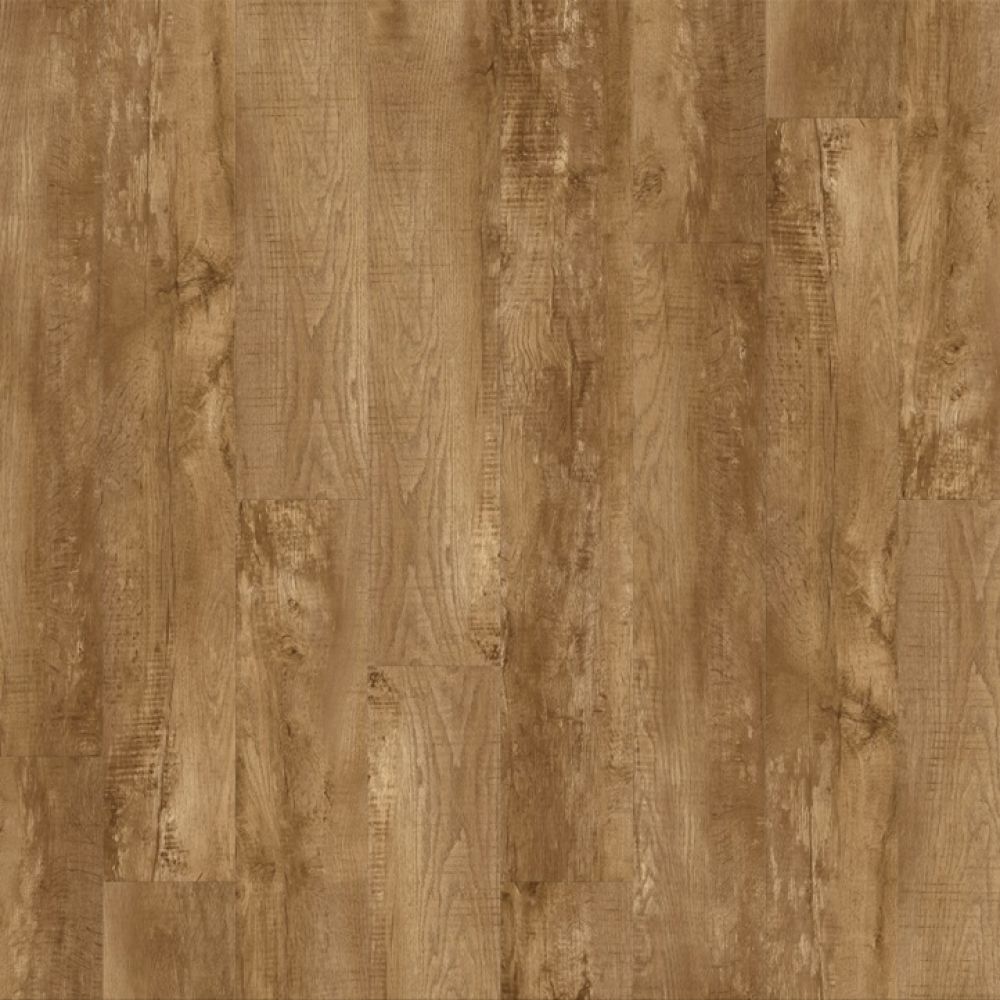 55 WOODS